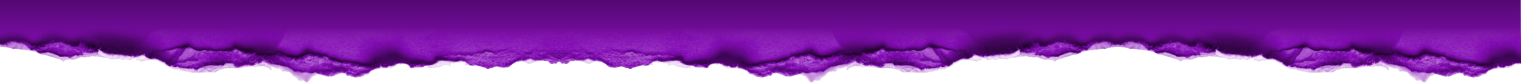 life in focus bottom shadow banner