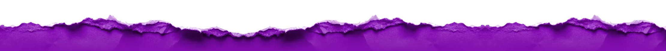 life in focus top shadow banner