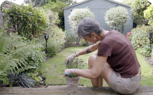 shared decision blog image