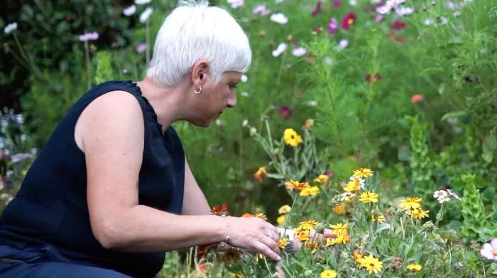 juliet gardening juliet gardening blog cta